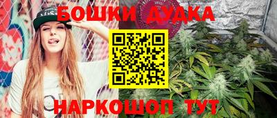 прущий лед Кингисепп