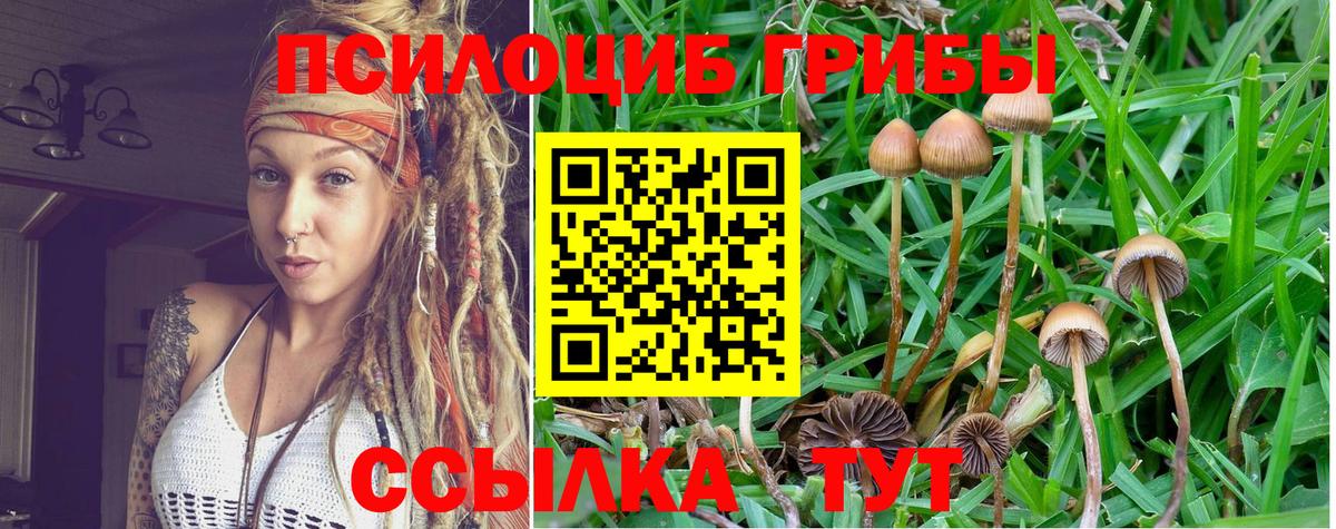 Кубинка  Галлюциногенные грибы прущие грибы  где найти наркотики  Вход с VPN  Галлюциногенные грибы мухоморы 