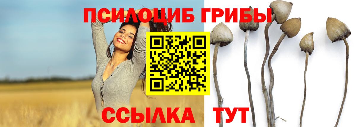 Галлюциногенные грибы ЛСД Кубинка